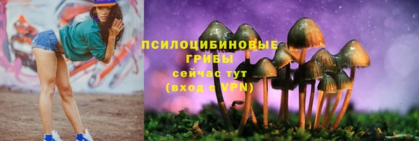 хмурый Медвежьегорск