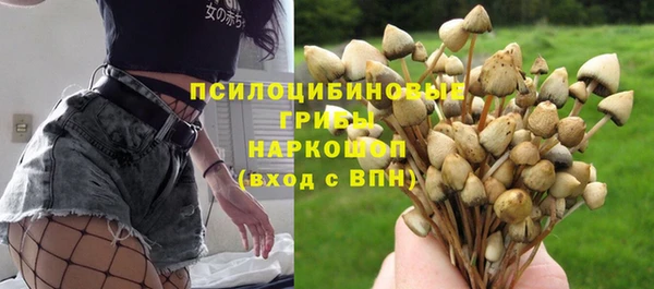 ешки Михайловск